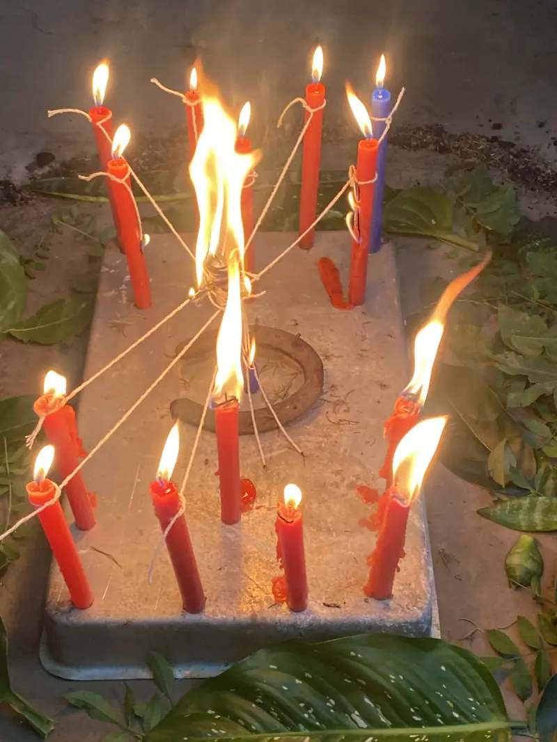 Velas vermelhas acesas, ligadas por fios a uma vela central, entre folhagens